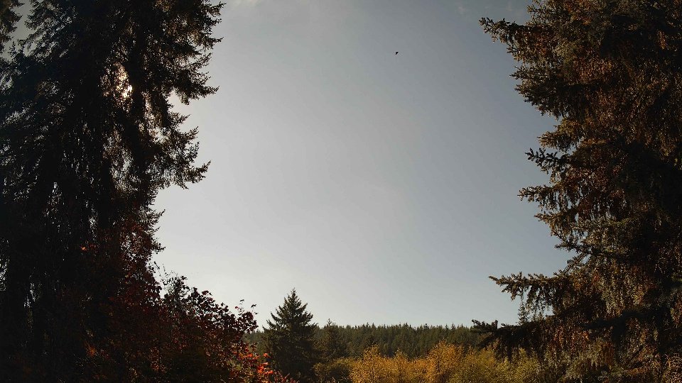 Pacific Northwest skyline timelapse on Oct 06, 2026 at 1:45 PM