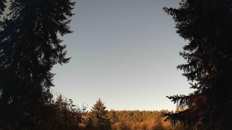 Pacific Northwest skyline timelapse on Oct 11, 2026 at 8:45 AM