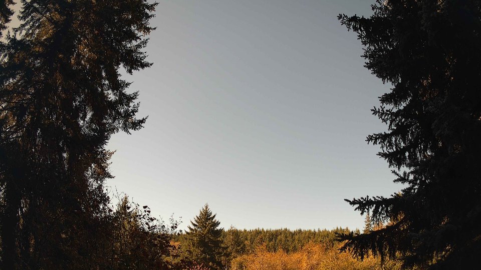 Pacific Northwest skyline timelapse on Oct 11, 2026 at 11:00 AM